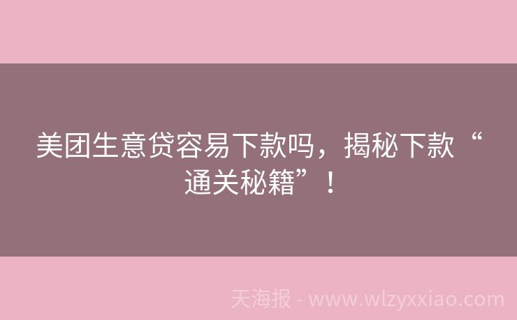美团生意贷容易下款吗，揭秘下款“通关秘籍”！
