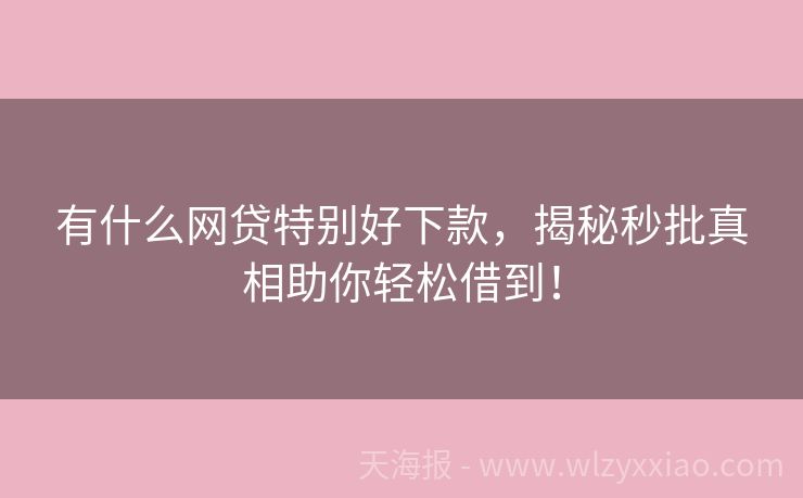 有什么网贷特别好下款，揭秘秒批真相助你轻松借到！