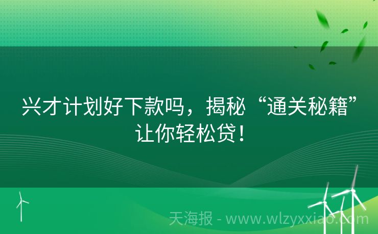兴才计划好下款吗，揭秘“通关秘籍”让你轻松贷！