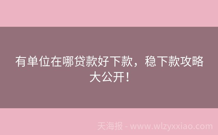 有单位在哪贷款好下款，稳下款攻略大公开！