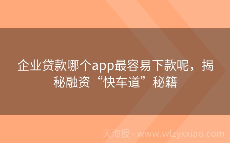 企业贷款哪个app最容易下款呢，揭秘融资“快车道”秘籍