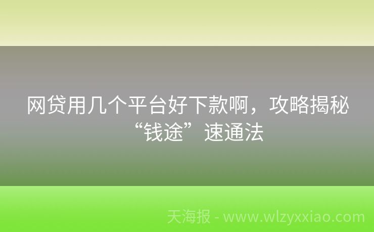 网贷用几个平台好下款啊，攻略揭秘“钱途”速通法