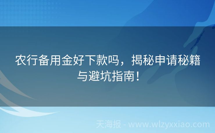农行备用金好下款吗，揭秘申请秘籍与避坑指南！