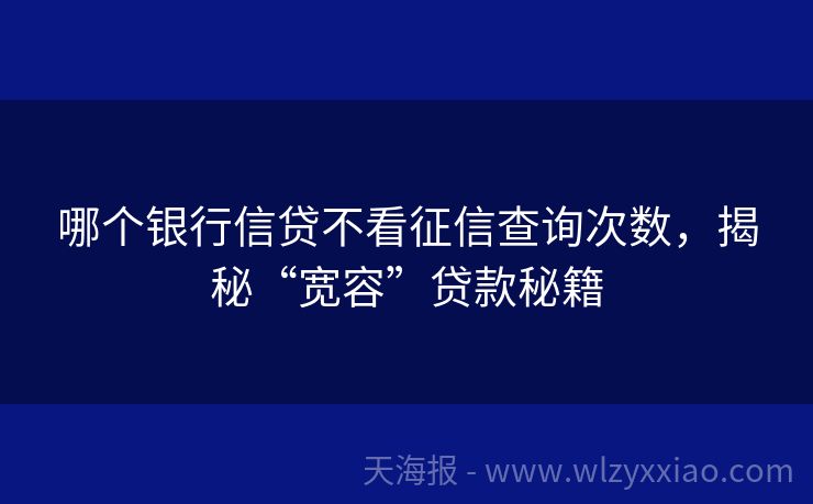 哪个银行信贷不看征信查询次数，揭秘“宽容”贷款秘籍
