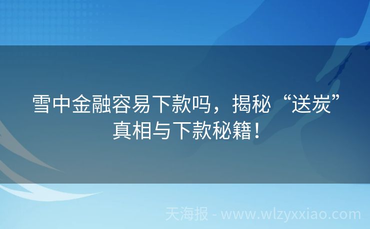 雪中金融容易下款吗，揭秘“送炭”真相与下款秘籍！