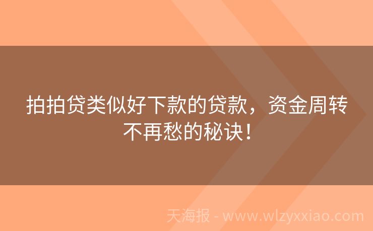 拍拍贷类似好下款的贷款，资金周转不再愁的秘诀！