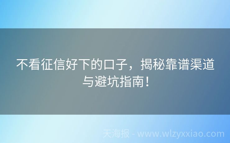 不看征信好下的口子，揭秘靠谱渠道与避坑指南！