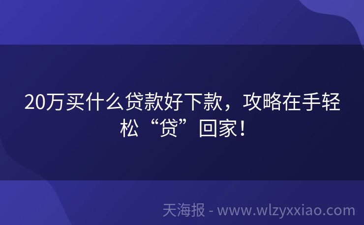 20万买什么贷款好下款，攻略在手轻松“贷”回家！