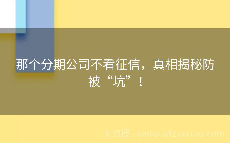 那个分期公司不看征信，真相揭秘防被“坑”！