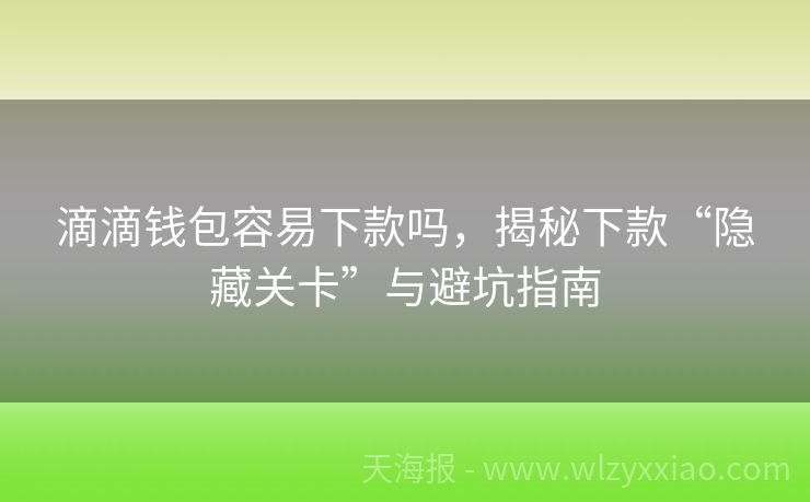 滴滴钱包容易下款吗，揭秘下款“隐藏关卡”与避坑指南