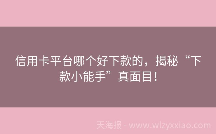 信用卡平台哪个好下款的，揭秘“下款小能手”真面目！