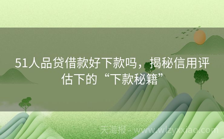 51人品贷借款好下款吗，揭秘信用评估下的“下款秘籍”