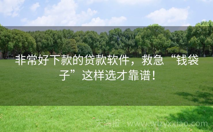 非常好下款的贷款软件，救急“钱袋子”这样选才靠谱！