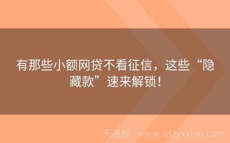 有那些小额网贷不看征信，这些“隐藏款”速来解锁！
