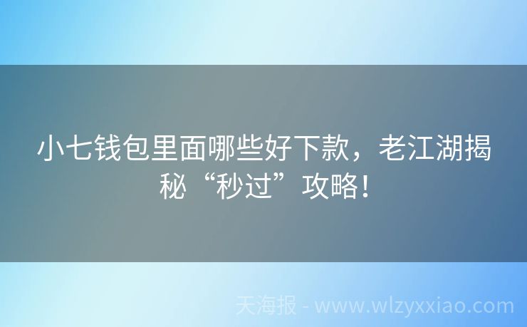 小七钱包里面哪些好下款，老江湖揭秘“秒过”攻略！