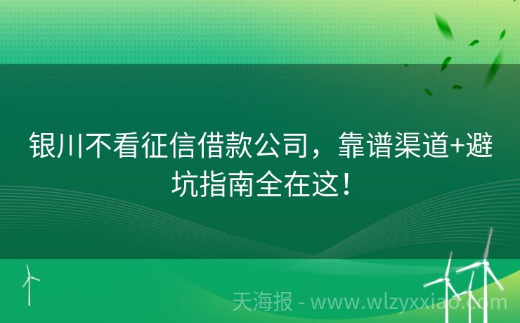 银川不看征信借款公司，靠谱渠道+避坑指南全在这！
