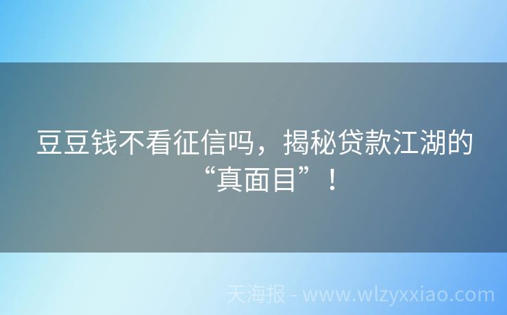 豆豆钱不看征信吗，揭秘贷款江湖的“真面目”！