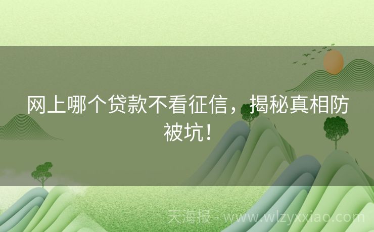 网上哪个贷款不看征信，揭秘真相防被坑！