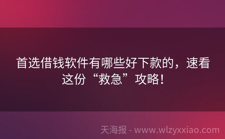 首选借钱软件有哪些好下款的，速看这份“救急”攻略！