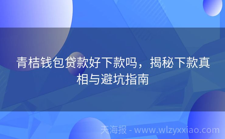 青桔钱包贷款好下款吗，揭秘下款真相与避坑指南