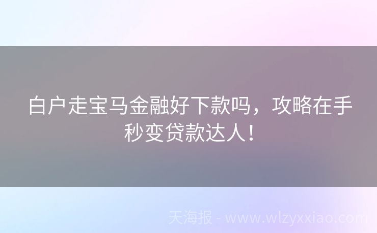 白户走宝马金融好下款吗，攻略在手秒变贷款达人！
