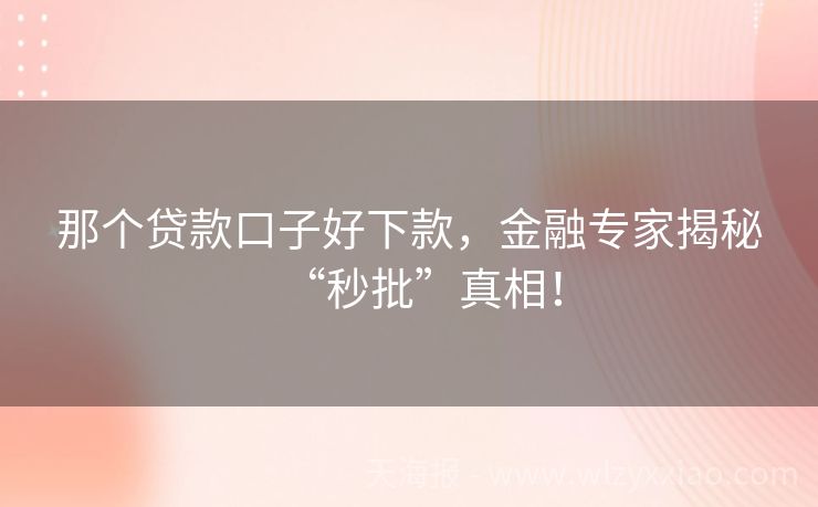 那个贷款口子好下款，金融专家揭秘“秒批”真相！