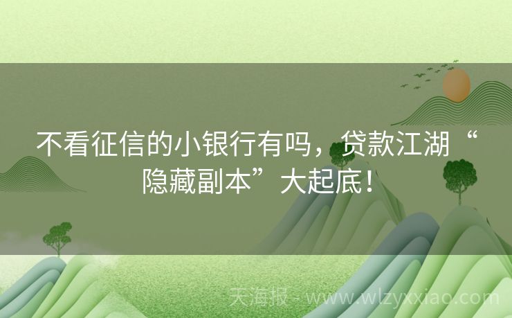 不看征信的小银行有吗，贷款江湖“隐藏副本”大起底！
