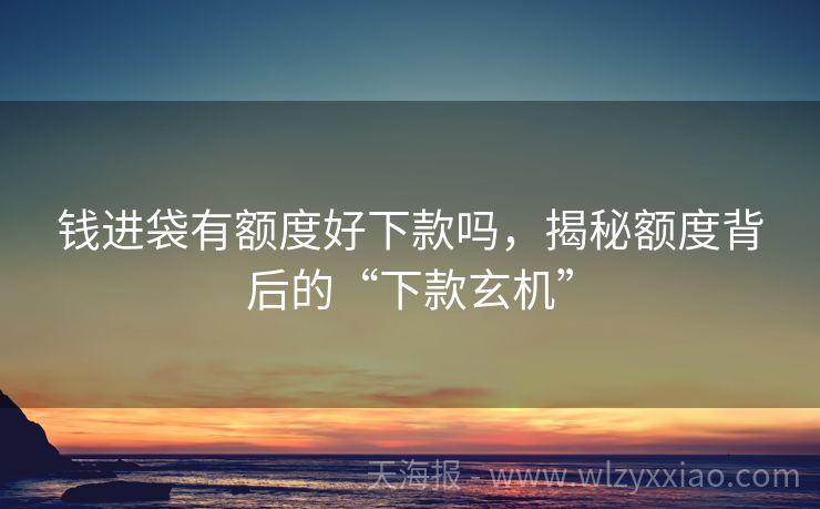 钱进袋有额度好下款吗，揭秘额度背后的“下款玄机”