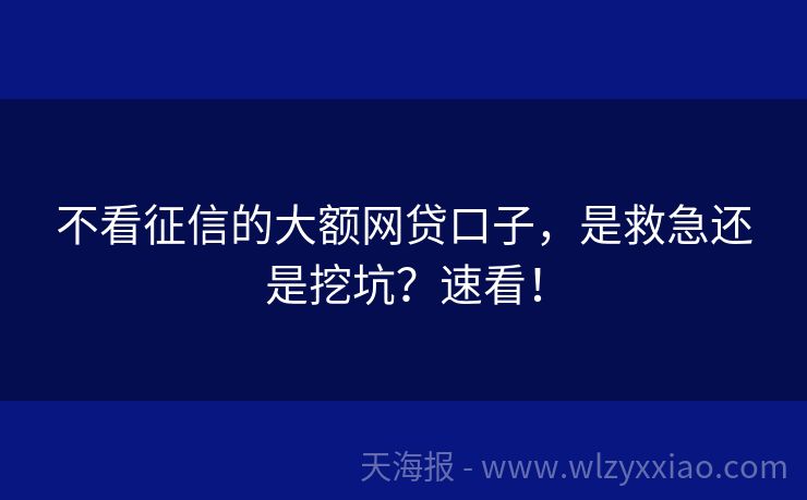 不看征信的大额网贷口子，是救急还是挖坑？速看！