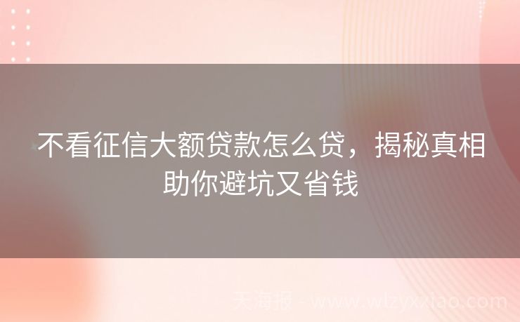 不看征信大额贷款怎么贷，揭秘真相助你避坑又省钱
