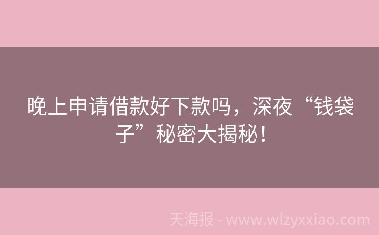 晚上申请借款好下款吗，深夜“钱袋子”秘密大揭秘！