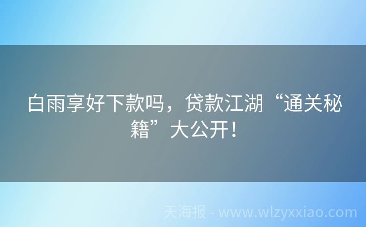 白雨享好下款吗，贷款江湖“通关秘籍”大公开！