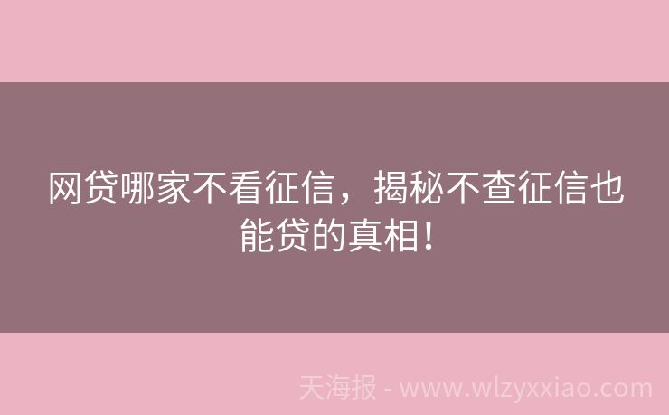 网贷哪家不看征信，揭秘不查征信也能贷的真相！