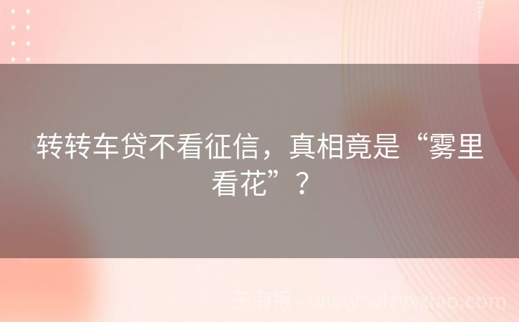 转转车贷不看征信，真相竟是“雾里看花”？