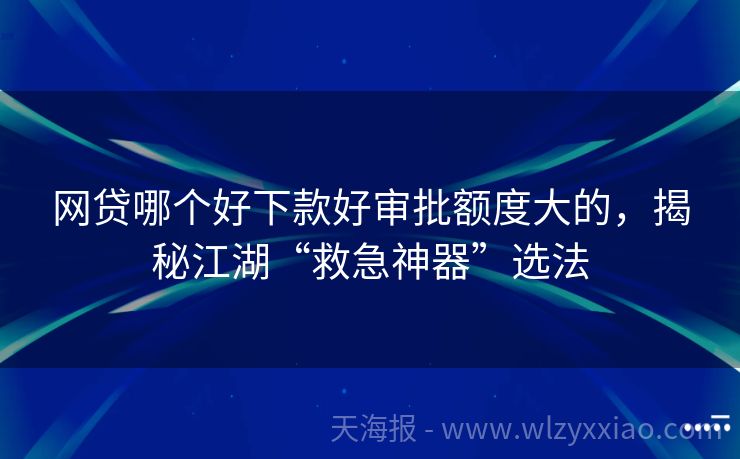 网贷哪个好下款好审批额度大的，揭秘江湖“救急神器”选法
