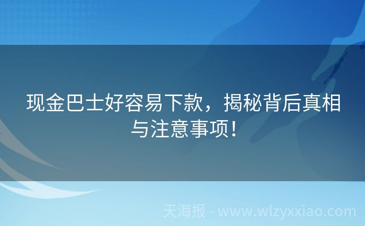 现金巴士好容易下款，揭秘背后真相与注意事项！