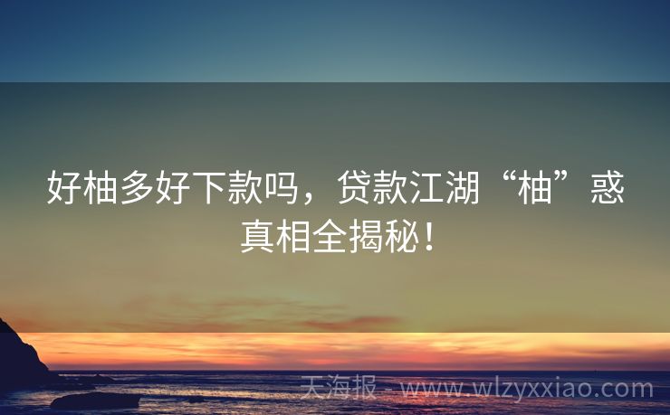 好柚多好下款吗，贷款江湖“柚”惑真相全揭秘！