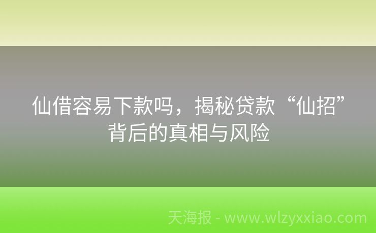 仙借容易下款吗，揭秘贷款“仙招”背后的真相与风险