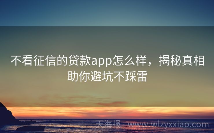 不看征信的贷款app怎么样，揭秘真相助你避坑不踩雷