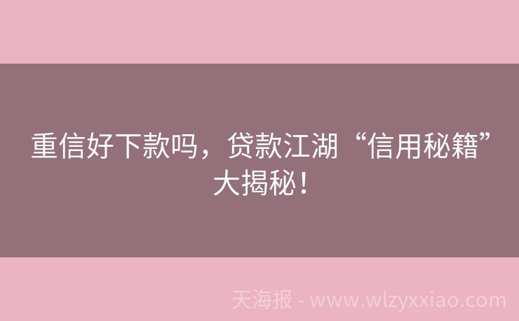 重信好下款吗，贷款江湖“信用秘籍”大揭秘！