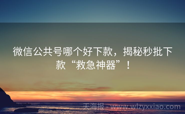 微信公共号哪个好下款，揭秘秒批下款“救急神器”！