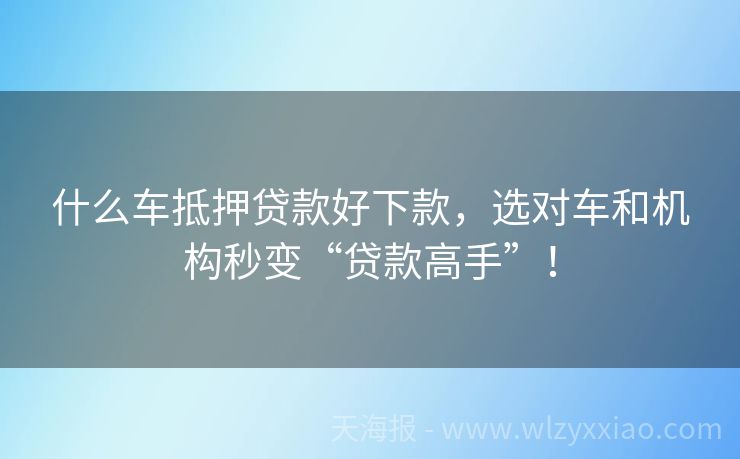 什么车抵押贷款好下款，选对车和机构秒变“贷款高手”！