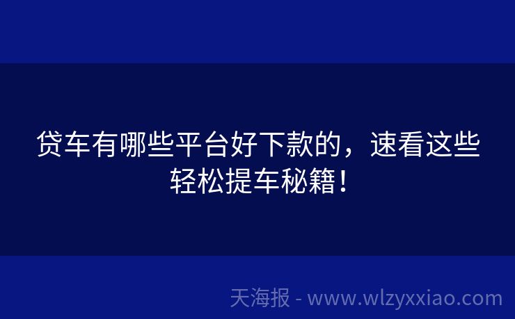 贷车有哪些平台好下款的，速看这些轻松提车秘籍！