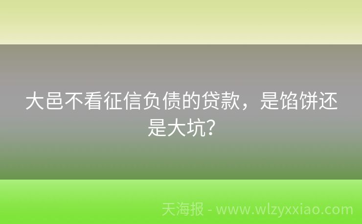 大邑不看征信负债的贷款，是馅饼还是大坑？
