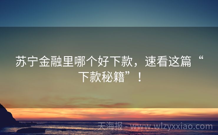 苏宁金融里哪个好下款，速看这篇“下款秘籍”！
