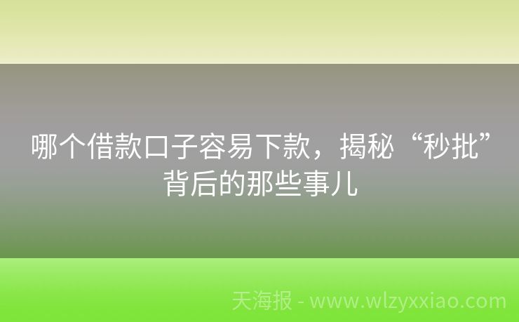 哪个借款口子容易下款，揭秘“秒批”背后的那些事儿