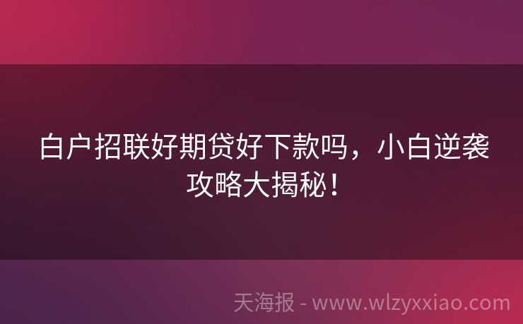 白户招联好期贷好下款吗，小白逆袭攻略大揭秘！
