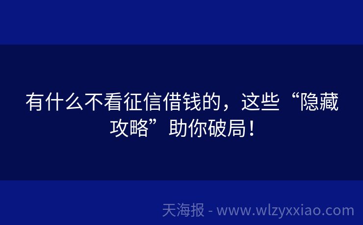 有什么不看征信借钱的，这些“隐藏攻略”助你破局！