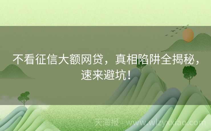 不看征信大额网贷，真相陷阱全揭秘，速来避坑！