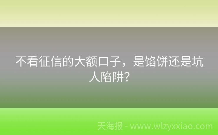 不看征信的大额口子，是馅饼还是坑人陷阱？